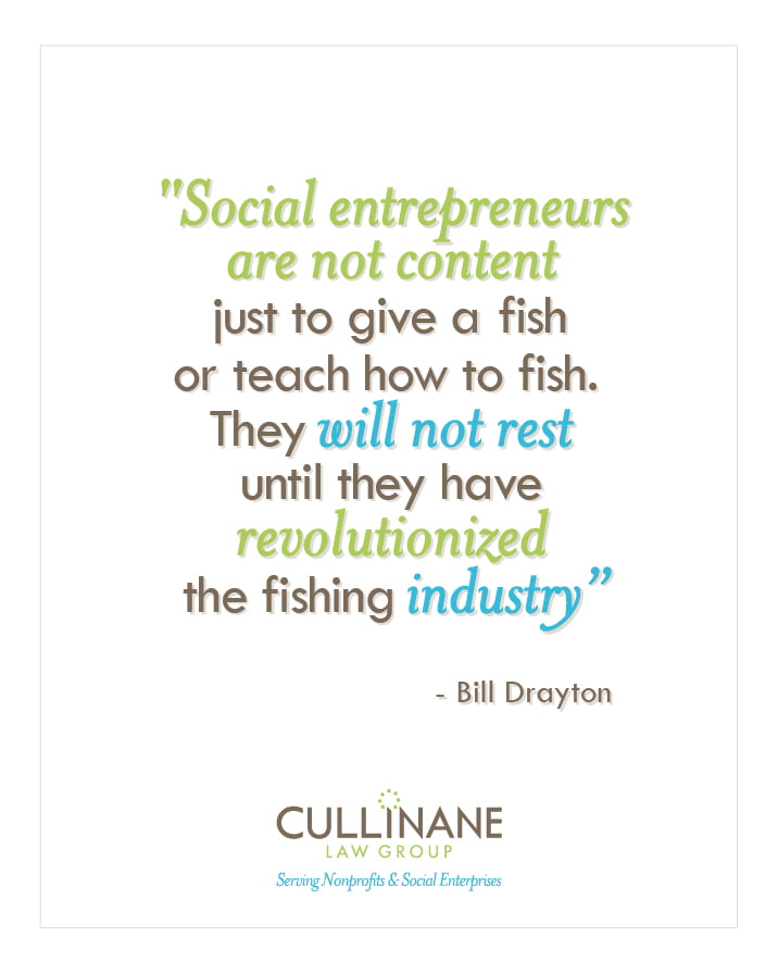 What is social enterprise?