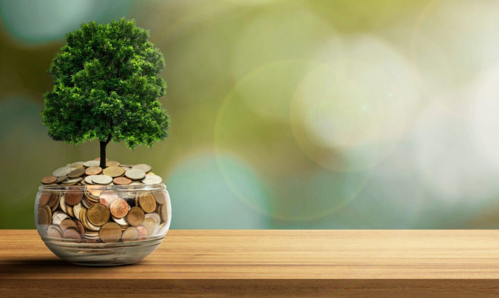 A small tree grows out of a clear glass jar filled with coins, placed on a wooden surface, against a blurred green and yellow background. This scene symbolizes the growth you can achieve by understanding how charitable donations affect your taxes.