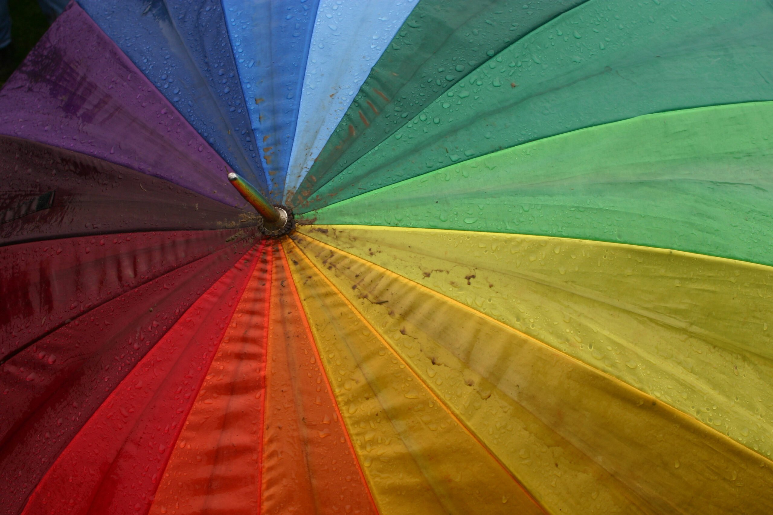 Colorful umbrella with sections of red, orange, yellow, green, blue, and purple, covered in raindrops—like a vibrant symbol under an umbrella organization offering group exemption status.