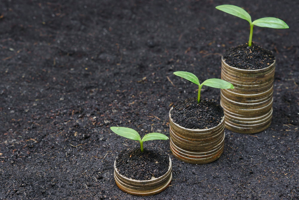 Three small plants growing on stacks of coins, each stack progressively taller, symbolize the contribution achievable through a dedicated social enterprise nonprofit.