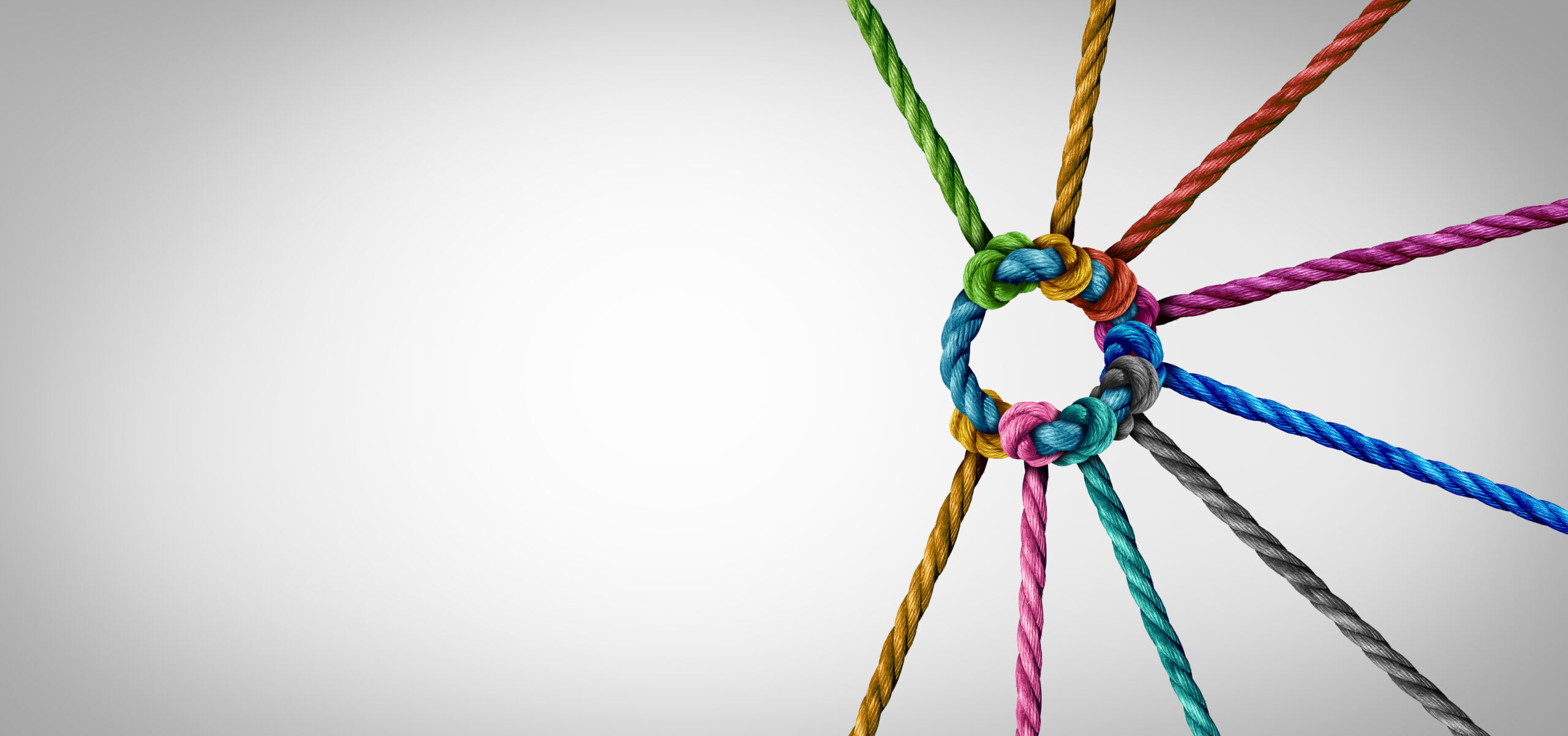 Image of ropes in various colors tied together in a knot, forming a circle against a plain white background, as a supporting organization holds each as one