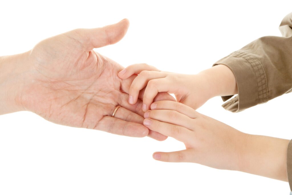 supporting organization cullinane