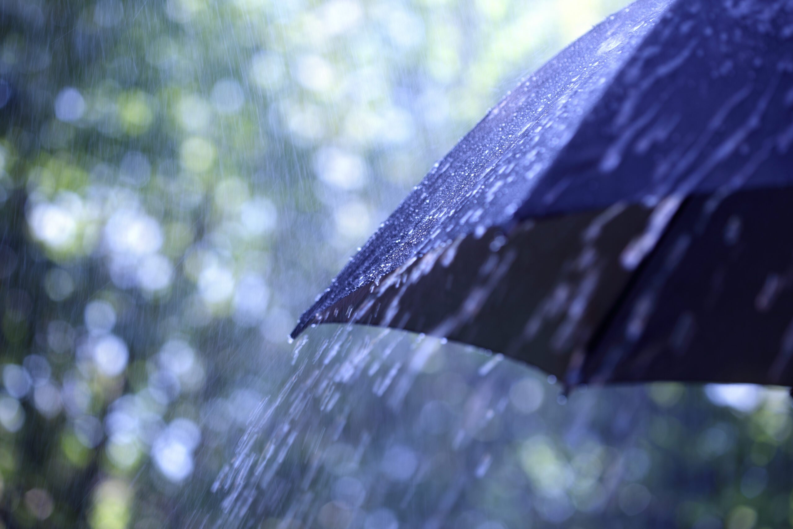 Close-up of a black umbrella shielding from falling rain.