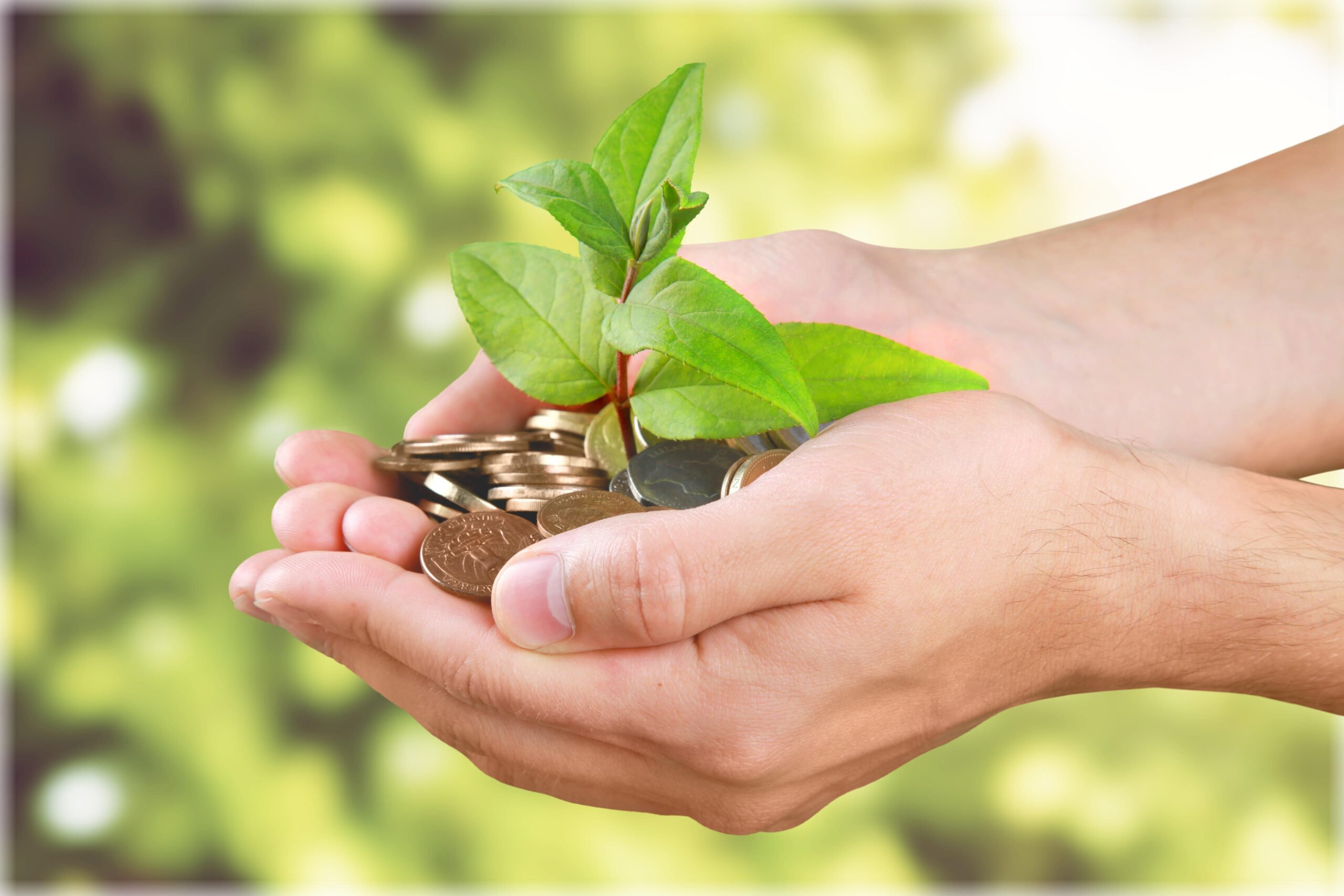 A pair of hands holding coins and a small plant with green leaves, symbolizing financial growth or investment, mirrors the principles of what is a benefit corporation: balancing profit with social and environmental responsibility.